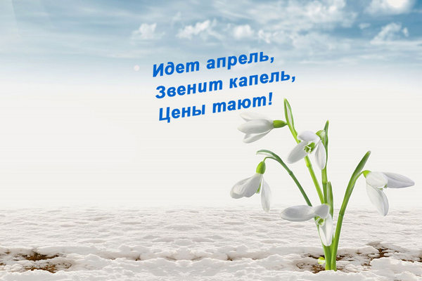 Акция! -20% на зонты Knirps