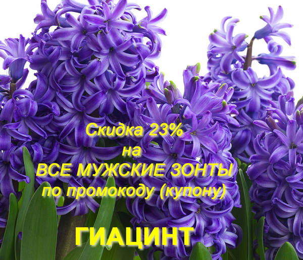 Скидка 23% по купону ГИАЦИНТ