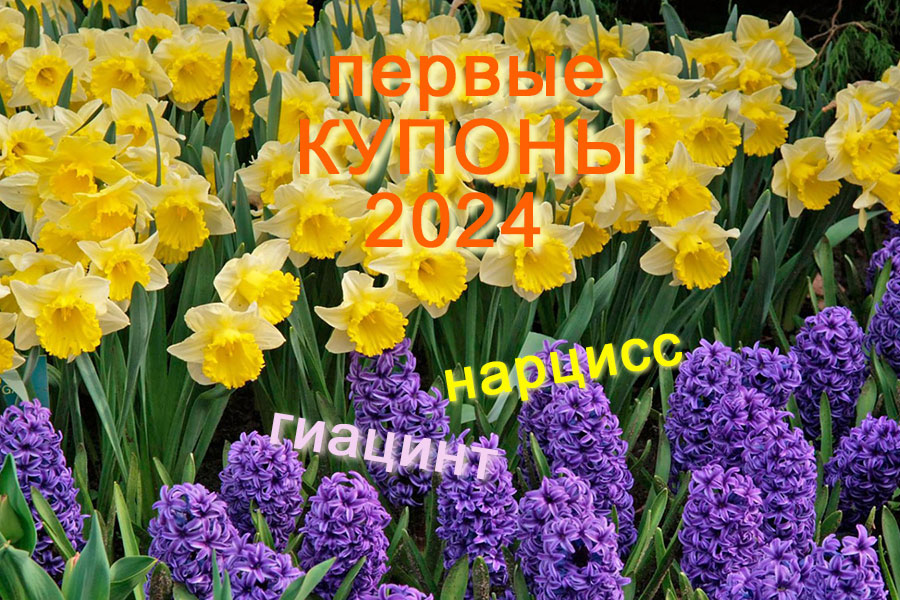 Первые купоны 2024 в магазине Гранд Багаж